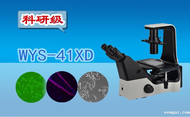华体会网站赞助狼堡.jpg