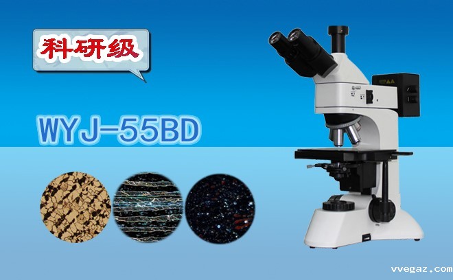 华体会亚博欧宝专业版.jpg