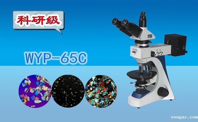 华体会在线登入.jpg
