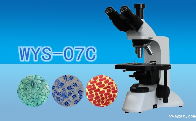 ��Ŀ������΢��WYS-07C
